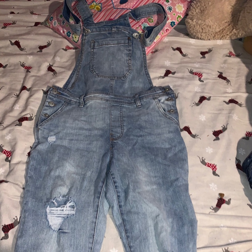 true craft jean overalls